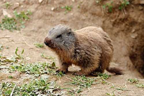 NBA勇士晋NBA杯淘汰赛！波杰姆斯基：我们想要那笔钱