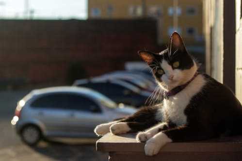 中国台北男篮队录像 男篮世亚预阶段一 对战vs中国男篮队回放 2026年03月01日 16:00比赛视频完整直播回看