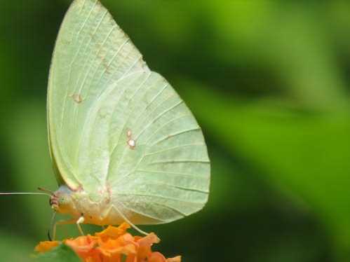 NBA禁区战力一个接着一个倒！溜马发动交易换来208公分射手长人