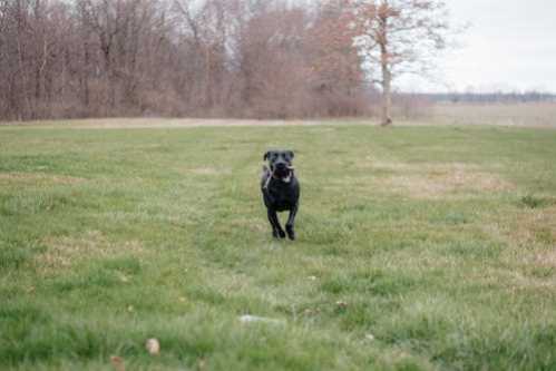 吴宜泽队录像 斯诺克苏格兰公开赛第3轮 对战vs马修-塞尔特队回放 2025年12月19日 08:04:36比赛视频完整直播回看