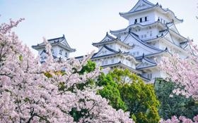 乌兹别克斯坦U23队录像 U23亚洲杯小组赛C组 对战vs韩国U23队回放 2026年01月13日 19:30比赛视频完整直播回看