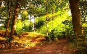 NBANBA杯夺冠不开香槟专注例行赛公鹿仍惨遭骑士痛宰