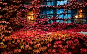 卢顿队录像 英联杯第3轮 对战vs曼联队回放 2020年09月23日 03:15比赛视频完整直播回看