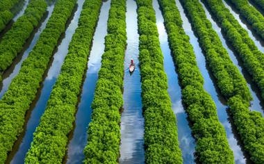 NBA柯瑞0进球仅得2分！施罗德勇士首秀惨败灰熊51分