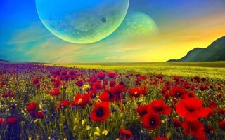 NBA爸爸要去哪？施洛德透露儿子得知交易后爆笑反应